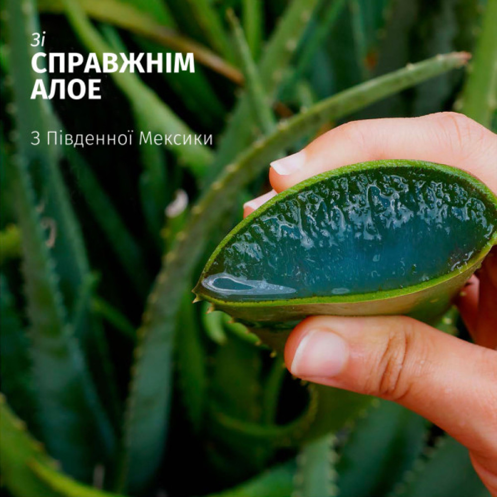 Шампунь Herbal Essences Зволоження Алое 350 мл (8700216211048)