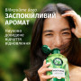 Шампунь Herbal Essences Зволоження Алое 350 мл (8700216211048)