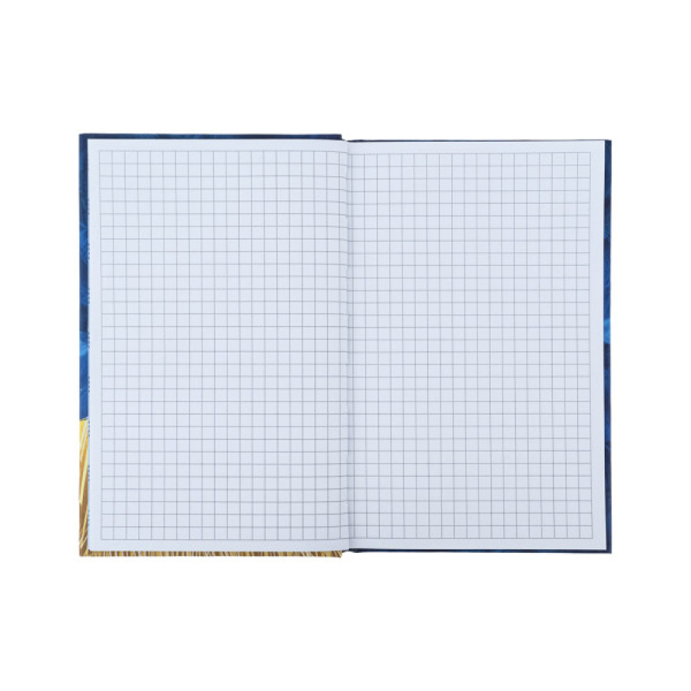 Книга записна Kite UA А6, 80 аркушів, клітинка (K24-199-1)