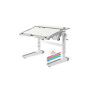 Парта Mealux Ergowood M Multicolor TG Energy (BD-800 TG/MC Energy) Парта Mealux Ergowood M Multicolor TG Energy (BD-800 TG/MC Energy)
