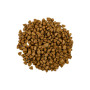 Сухий корм для кішок Savory Adult Cat Steril Fresh Lamb and Chicken 400 г (4820232630105) Сухий корм для кішок Savory Adult Cat Steril Fresh Lamb and Chicken 400 г (4820232630105)