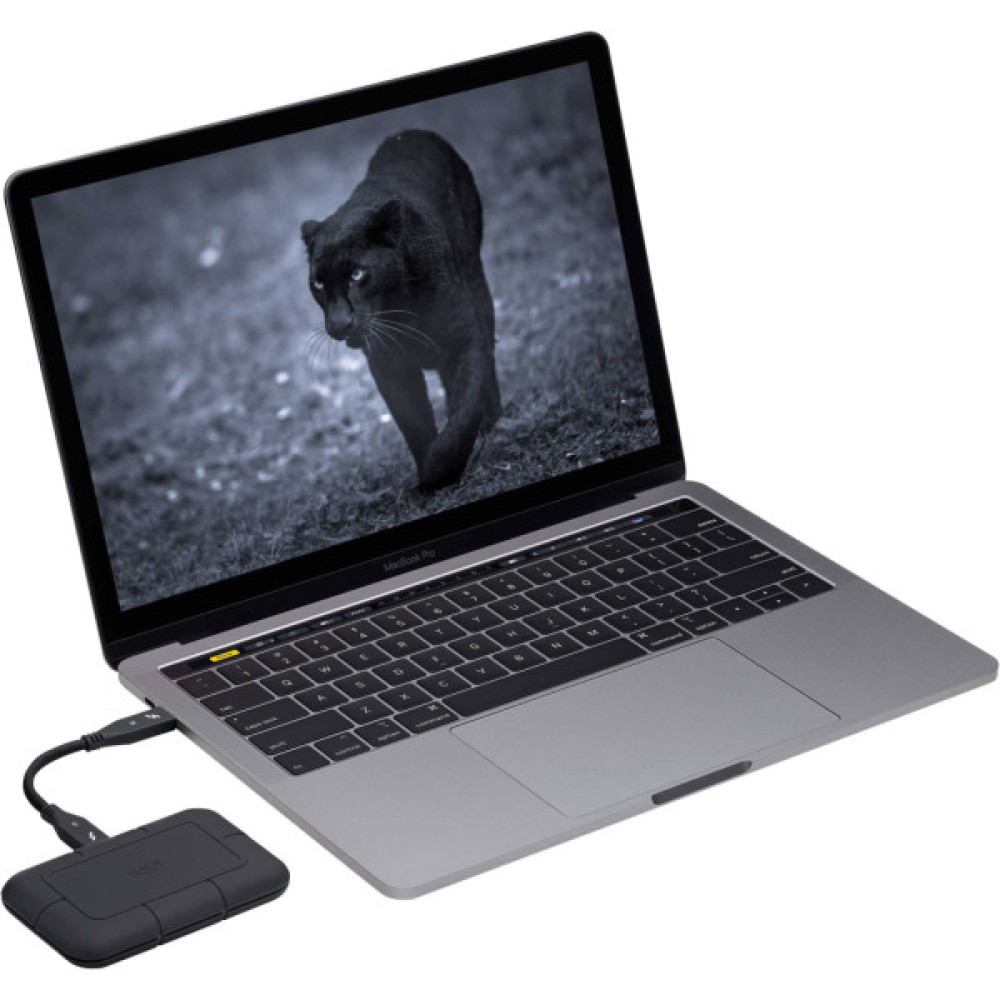 Накопичувач SSD USB Type-C 4TB Rugged Pro LaCie (STHZ4000800)