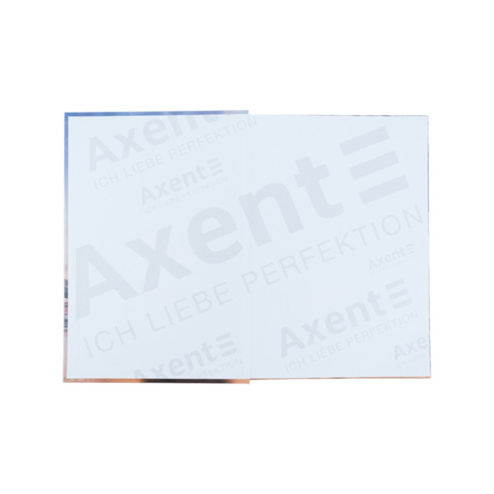 Канцелярська книга Axent Power А4 у твердій обкладинці 96 аркуші клітинка (8422-567-A)