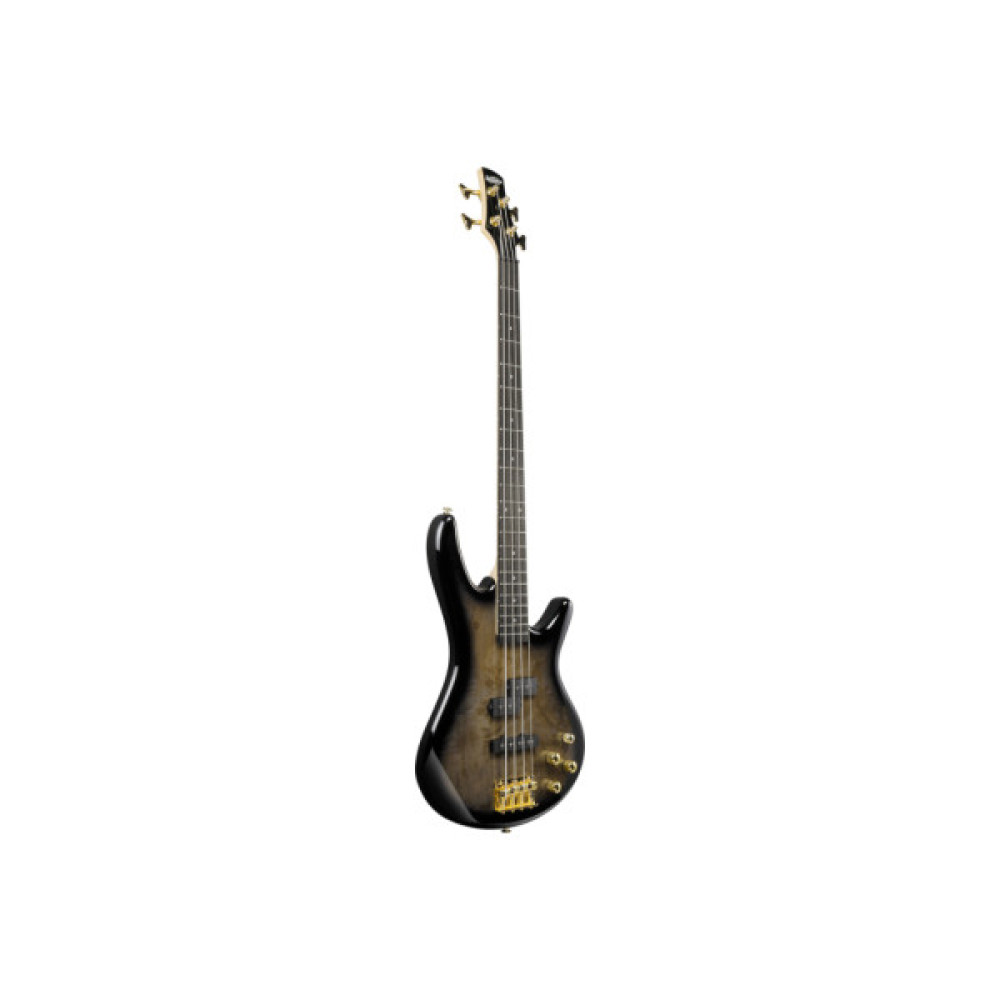 Бас-гітара Ibanez GSR200PC TPB (236059)