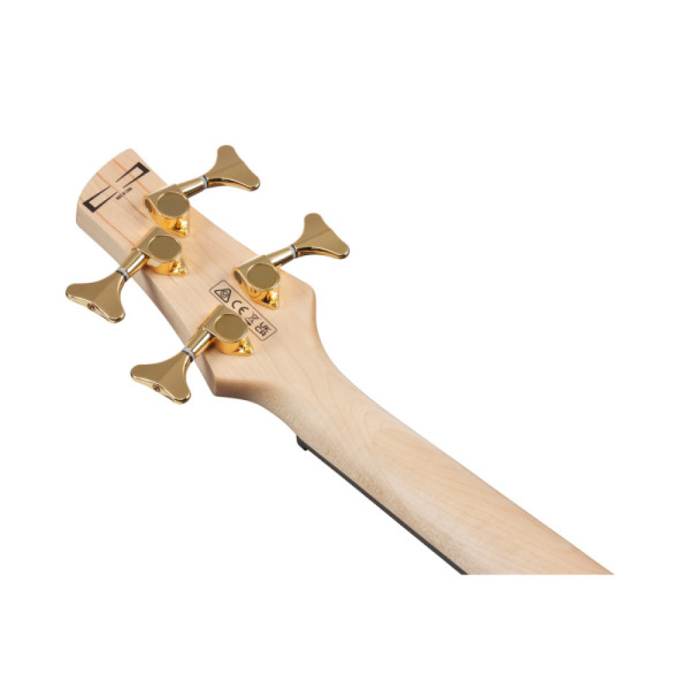 Бас-гітара Ibanez GSR200PC TPB (236059)