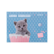 Зошит Kite для нот Studio Pets А5, 20 аркушів (SP24-405)