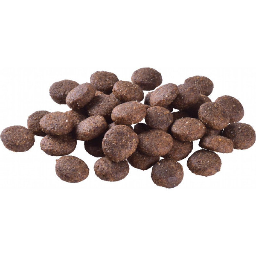 Сухий корм для собак Brit Care Dog Grain-free Junior Large Breed беззерновий з лососем 12 кг (8595602558865)