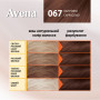 Фарба для волосся Acme Color Avena Shine Color Стійка 067 - Капучино (4823115502537) Фарба для волосся Acme Color Avena Shine Color Стійка 067 - Капучино (4823115502537)