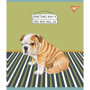 Зошит Yes А5 Dogs 24 аркушів лінія (766849) Зошит Yes А5 Dogs 24 аркушів лінія (766849)