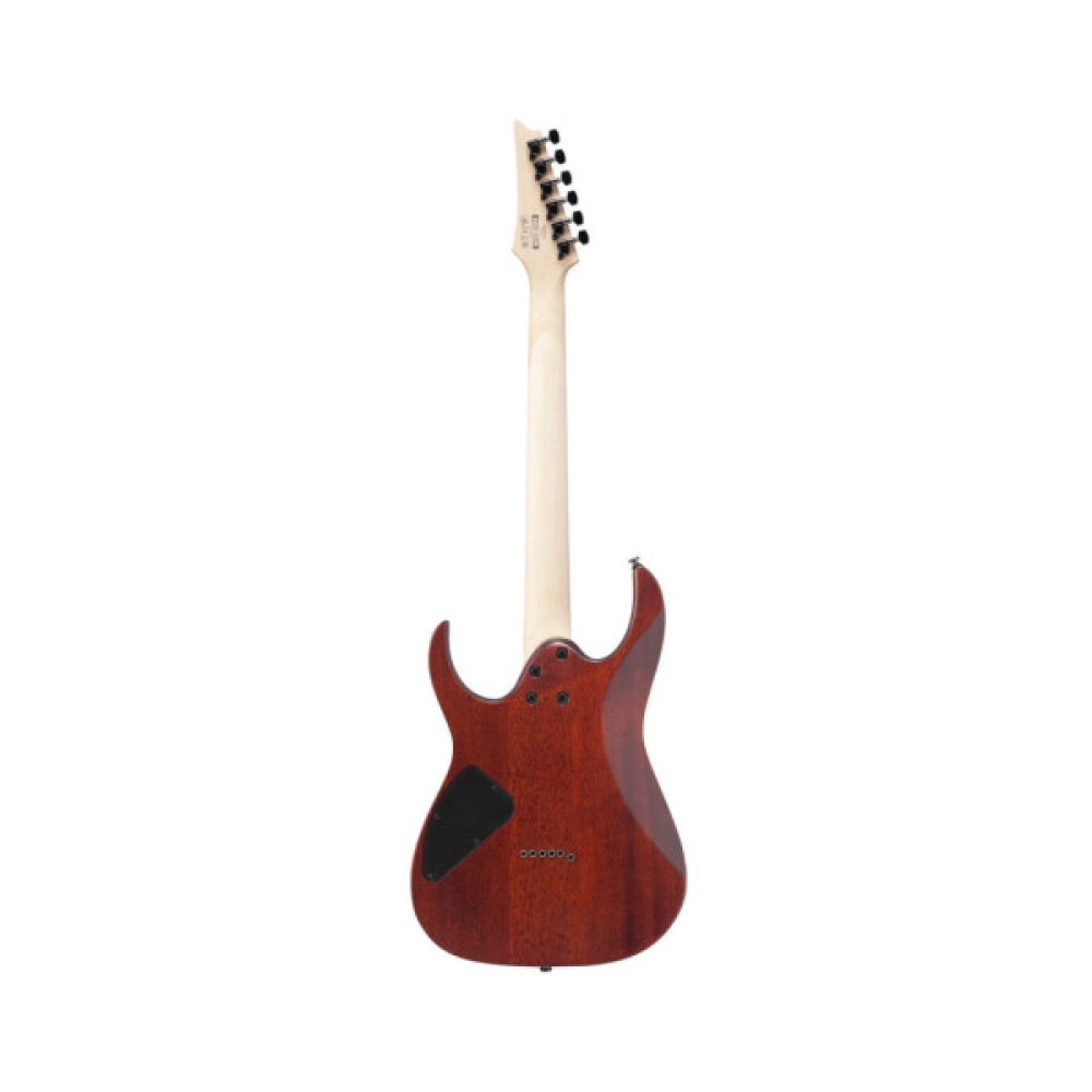 Електрогітара Ibanez RG421S SEM (234944)