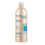 Шампунь Fortesse Professional Balance & Fresh 400 мл (4820000307383) Шампунь Fortesse Professional Balance & Fresh 400 мл (4820000307383)