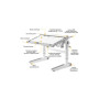 Парта Mealux Ergowood M Multicolor W Energy (BD-800 W/MC Energy) Парта Mealux Ergowood M Multicolor W Energy (BD-800 W/MC Energy)