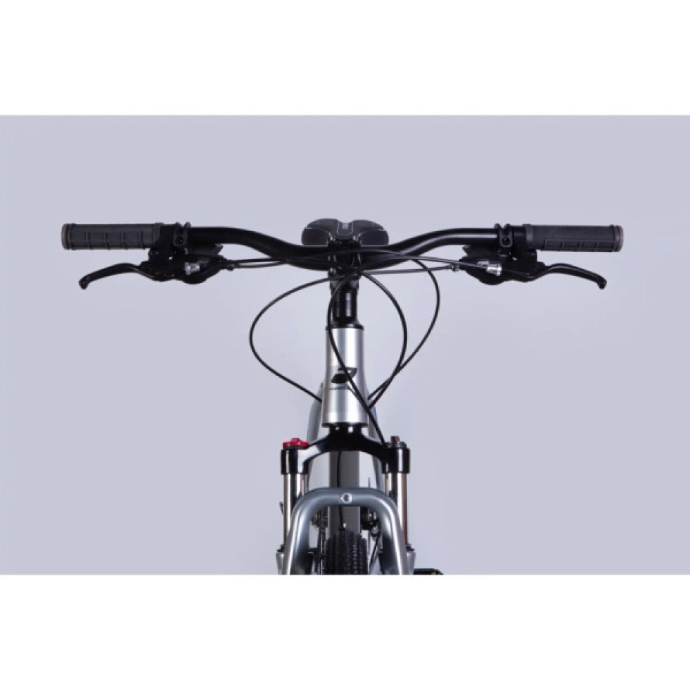 Велосипед Formula 29" ZEPHYR 3.0 DD CS рама-21" AL 2026 срiблястий (OPS-FR-29-446)