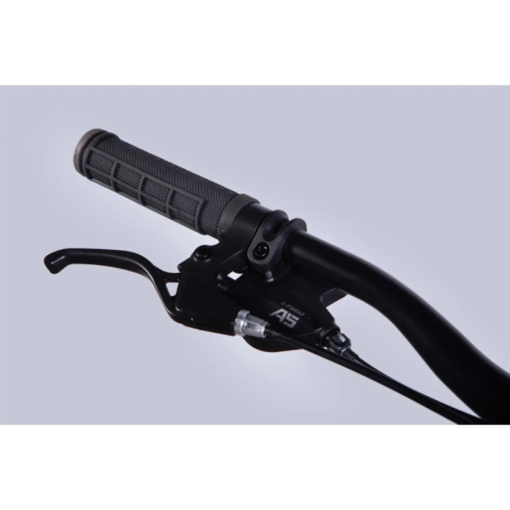 Велосипед Formula 29" ZEPHYR 3.0 DD CS рама-21" AL 2026 срiблястий (OPS-FR-29-446)