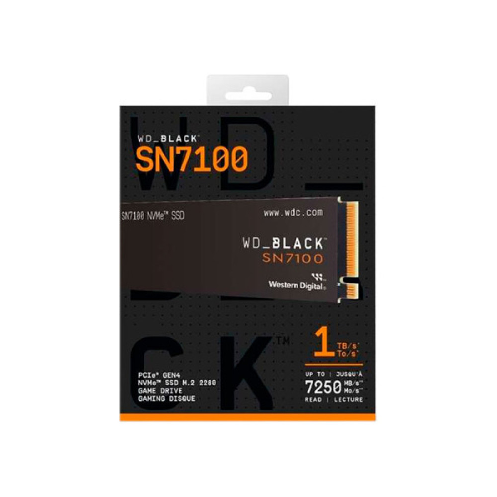 WESTERN DIGITAL WDS100T4X0E