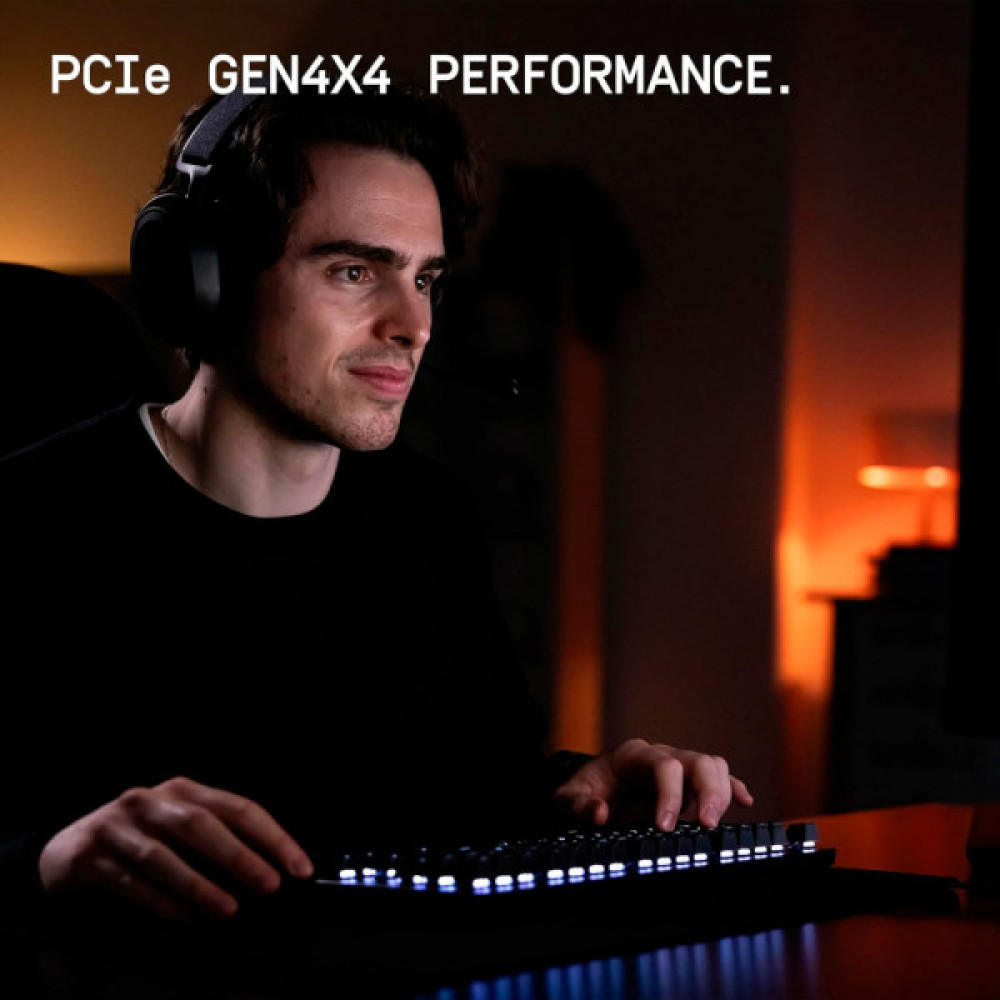 WESTERN DIGITAL WDS100T4X0E