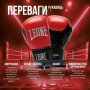 Боксерські рукавички Leone GN383 Thunder Black 16 унцій (GN383_Black_16oz) Боксерські рукавички Leone GN383 Thunder Black 16 унцій (GN383_Black_16oz)