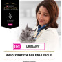 Сухий корм для кішок Purina Pro Plan Veterinary Diets UR Urinary при сечокам'яній хворобі 350 г (7613035154216/7613287585080) Сухий корм для кішок Purina Pro Plan Veterinary Diets UR Urinary при сечокам'яній хворобі 350 г (7613035154216/7613287585080)