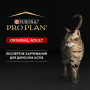 Сухий корм для кішок Purina Pro Plan Original з куркою 10 кг (7613036508032) Сухий корм для кішок Purina Pro Plan Original з куркою 10 кг (7613036508032)