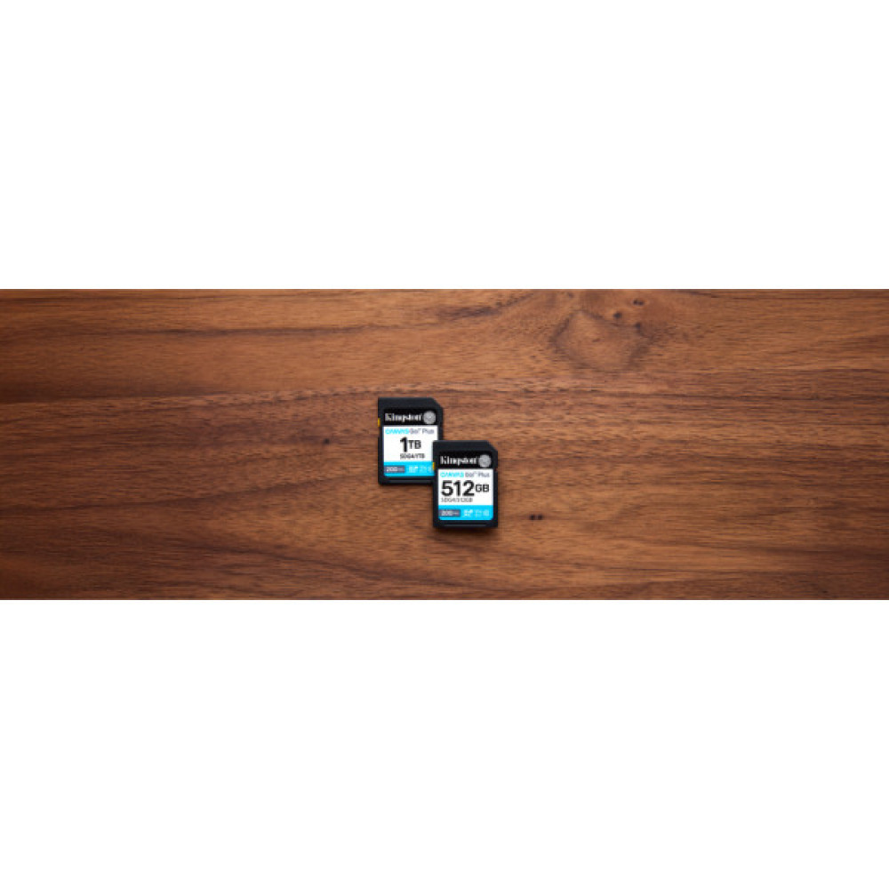 Карта пам'яті Kingston 128GB SDXC сlass 10 UHS-I U3 V30 Canvas Go Plus G4 (SDG4/128GB)