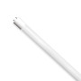 Лампочка Eurolamp T8 скло 18W 4000K (LED-T8-18W/4000(OS)) Лампочка Eurolamp T8 скло 18W 4000K (LED-T8-18W/4000(OS))