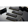 Модуль пам'яті для комп'ютера DDR5 32GB (2x16GB) 6000 MHz Trident Z5 RGB Black G.Skill (F5-6000J3238F16GX2-TZ5RK) Модуль пам'яті для комп'ютера DDR5 32GB (2x16GB) 6000 MHz Trident Z5 RGB Black G.Skill (F5-6000J3238F16GX2-TZ5RK)