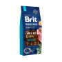 Сухий корм для собак Brit Premium Dog Sensitive Lamb 15 кг (8595602526642) Сухий корм для собак Brit Premium Dog Sensitive Lamb 15 кг (8595602526642)