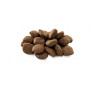 Сухий корм для собак Brit Premium Dog Sensitive Lamb 15 кг (8595602526642) Сухий корм для собак Brit Premium Dog Sensitive Lamb 15 кг (8595602526642)