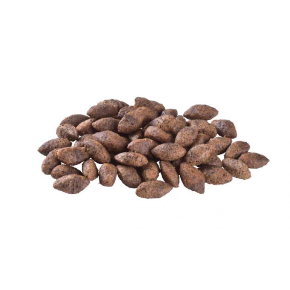 Сухий корм для собак Brit Care Dog Sustainable Sensitive Insect and Fish 12 кг (8595602559190)