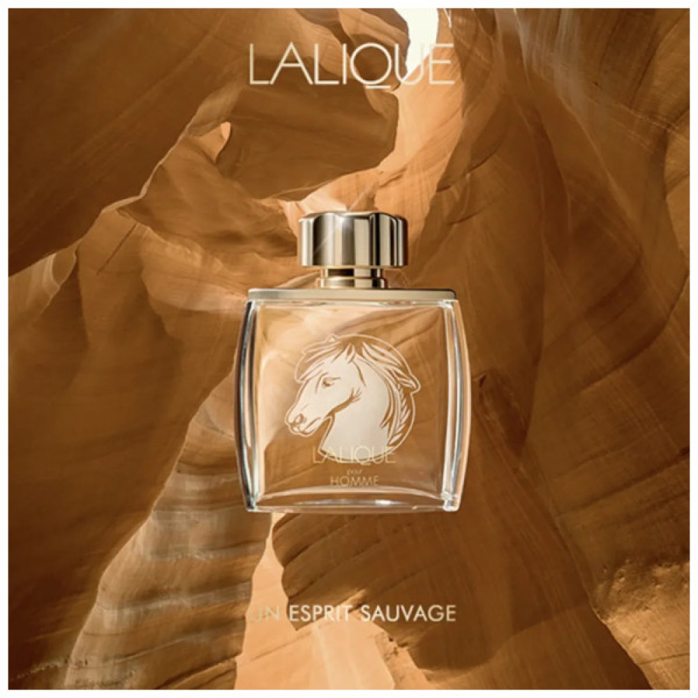 Парфумована вода Lalique Equus Pour Homme 75 мл (3454960014169)
