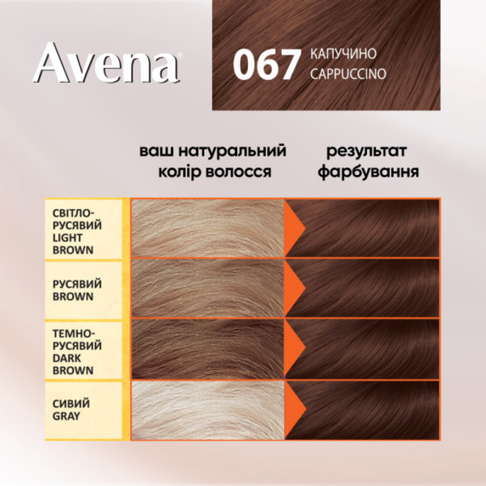 Фарба для волосся Acme Color Avena Shine Color Стійка 067 - Капучино (4823115502537)
