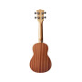 Укулеле Kala Learn To Play Soprano Ukulele Starter Kit (231433) Укулеле Kala Learn To Play Soprano Ukulele Starter Kit (231433)