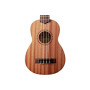 Укулеле Kala Learn To Play Soprano Ukulele Starter Kit (231433) Укулеле Kala Learn To Play Soprano Ukulele Starter Kit (231433)