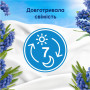 Кондиціонер для білизни Lenor Капрі 1.239 л (8700216724418) Кондиціонер для білизни Lenor Капрі 1.239 л (8700216724418)