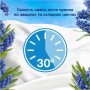 Кондиціонер для білизни Lenor Капрі 1.239 л (8700216724418) Кондиціонер для білизни Lenor Капрі 1.239 л (8700216724418)