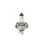 Автолампа SHAFER H412V60/55WP45T (SL1004/1) Автолампа SHAFER H412V60/55WP45T (SL1004/1)