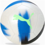 М'яч футбольний Puma Cage ball 084346-02 білий, синій 5 (4067981507764) М'яч футбольний Puma Cage ball 084346-02 білий, синій 5 (4067981507764)