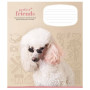 Зошит Школярик Perfect friends 12 аркушів клітинка (012-3250K) Зошит Школярик Perfect friends 12 аркушів клітинка (012-3250K)