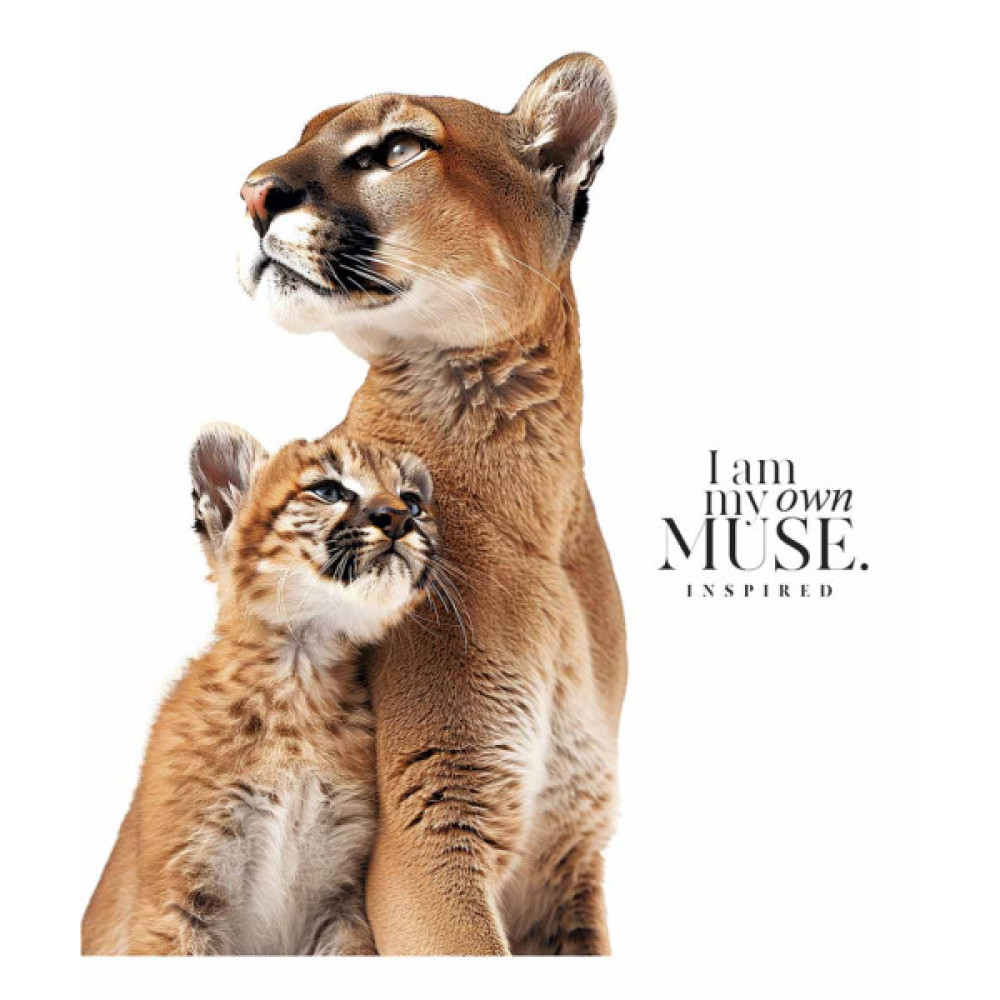 Зошит Школярик Main portrait 96 аркушів клітинка (096-3476K)