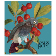 Зошит Школярик Birds 60 аркушів клітинка (060-3410K)