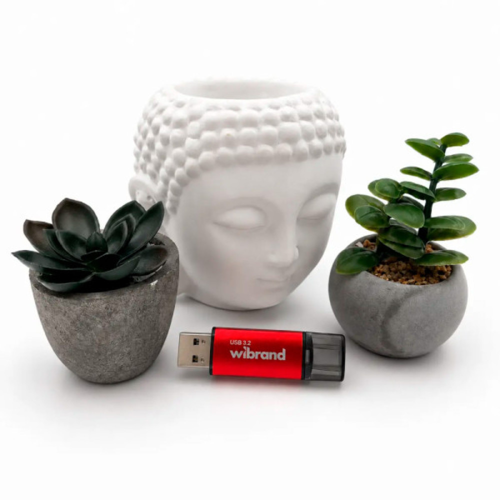 USB флеш накопичувач Wibrand 32GB Ladybug Red USB 3.2 (WI3.2/LB32P10S)