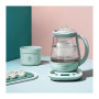 Електрочайник Buydeem K1594T Cozy Greenish (K1594T-CG/EU)