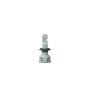 Автолампа Philips 11362U51X2 Автолампа Philips 11362U51X2