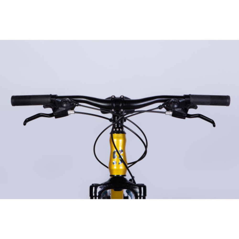 Велосипед Space 24" MARS DD FR рама-11" ST 2026 золотисто-чорний (OPS-SP-24-058)