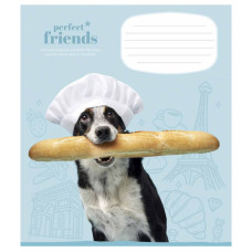 Зошит Школярик Perfect friends 12 аркушів клітинка (012-3250K)