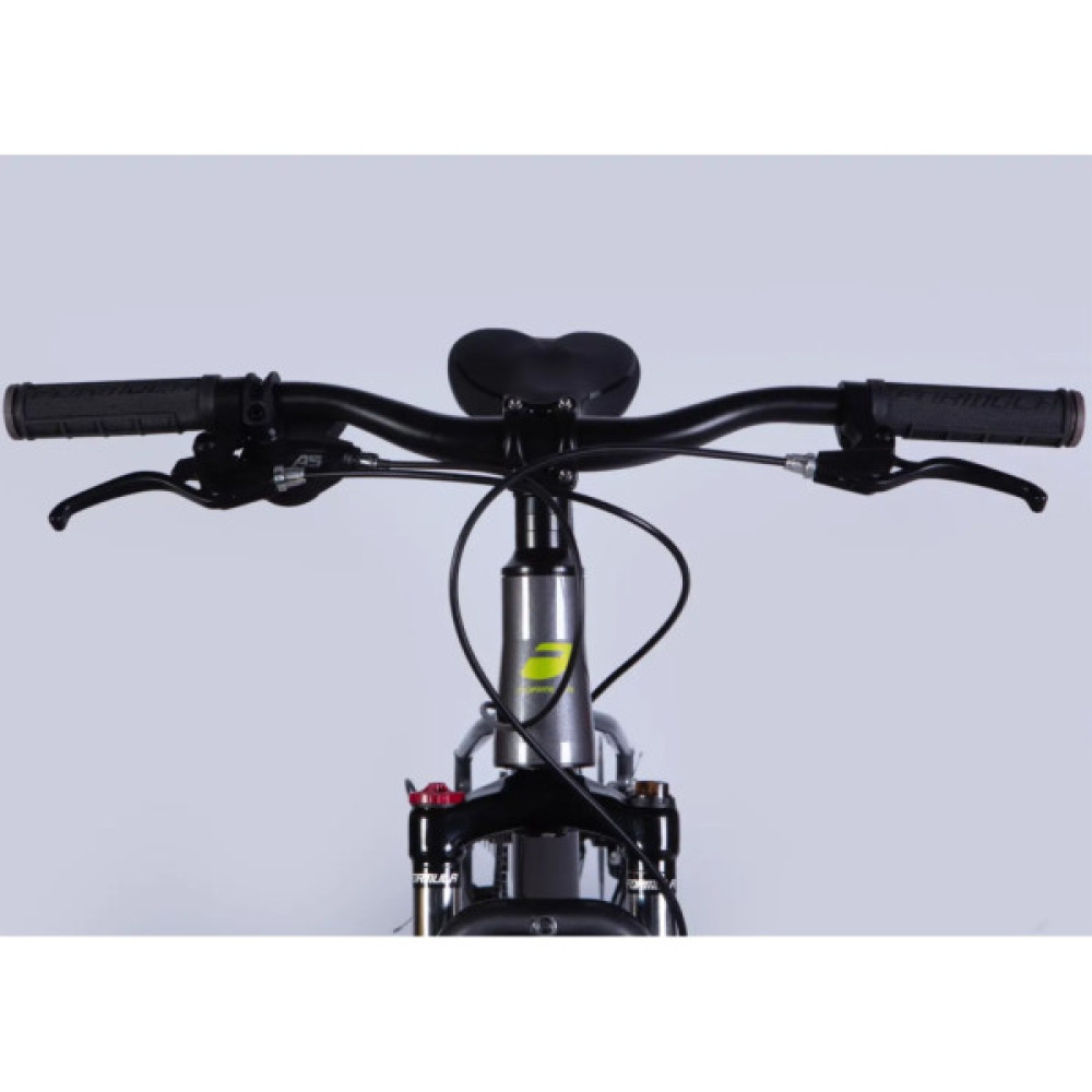 Велосипед Formula 26" ZEPHYR 3.0 DD CS рама-14" AL 2026 сірий з зеленим (OPS-FR-26-814)