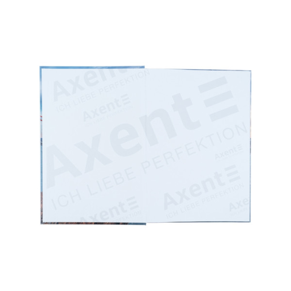 Канцелярська книга Axent Connect А4 у твердій обкладинці 96 аркуші клітинка (8422-565-A)