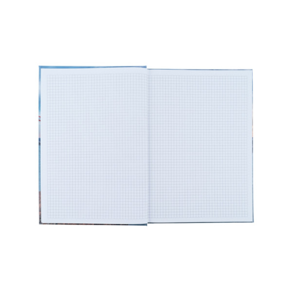 Канцелярська книга Axent Connect А4 у твердій обкладинці 96 аркуші клітинка (8422-565-A)