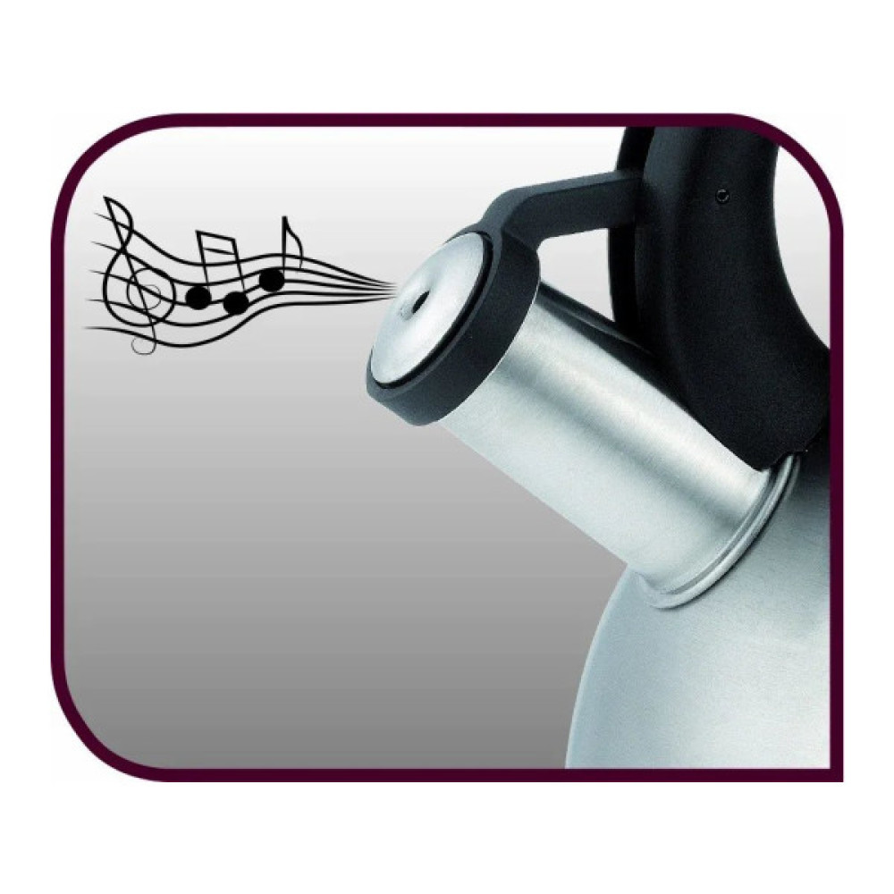 Чайник Tefal Duetto+ зі свистком 2.5 л чорний/сталевий (N4210310)