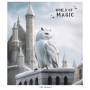 Зошит Школярик World of Magic 96 аркушів клітинка (096-3431K) Зошит Школярик World of Magic 96 аркушів клітинка (096-3431K)